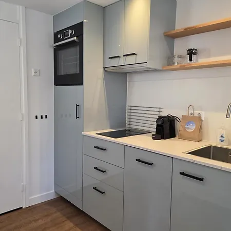 Apartment Ruijslaan 13c Achter De Zandduyn