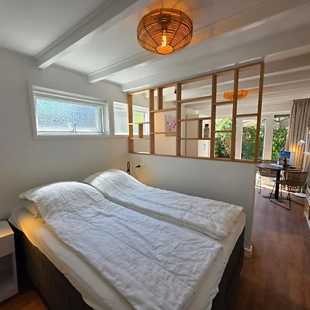 Ruijslaan 13c Achter De Zandduyn Apartment De Koog (Texel)