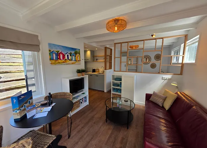 Ruijslaan 13c Achter De Zandduyn Apartment De Koog (Texel)